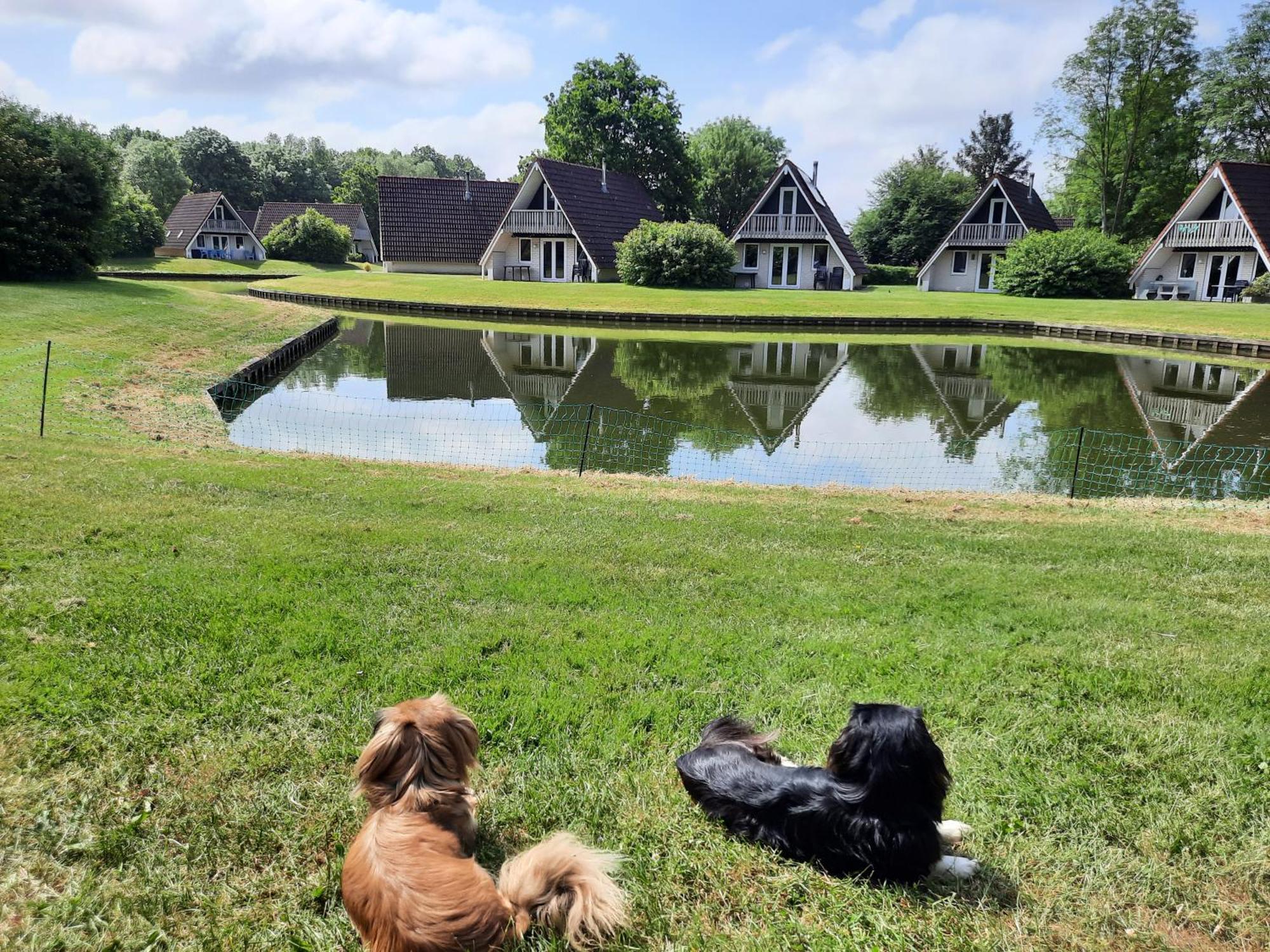 De Gouwe, 158 - Aan Visvijver, De Beste Visstek Gramsbergen Exterior photo